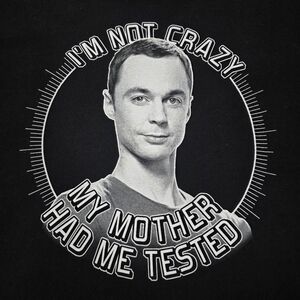 Ripple Junction "The Big Bang Theory" Sheldon Cooper Black Graphic TShirt Size L